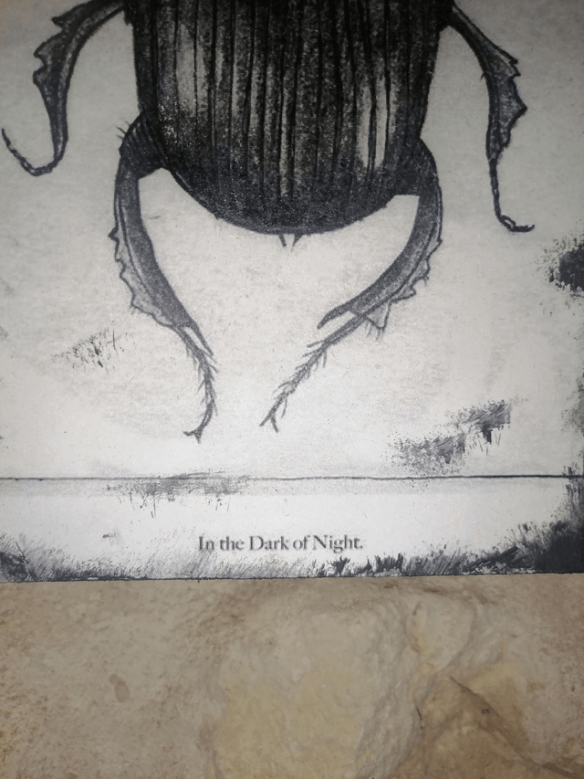 Plaque insecte