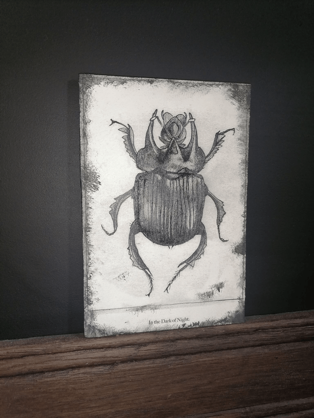 Plaque insecte