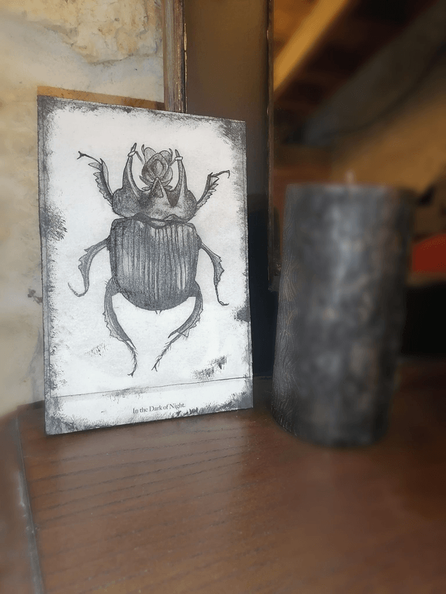 Plaque insecte