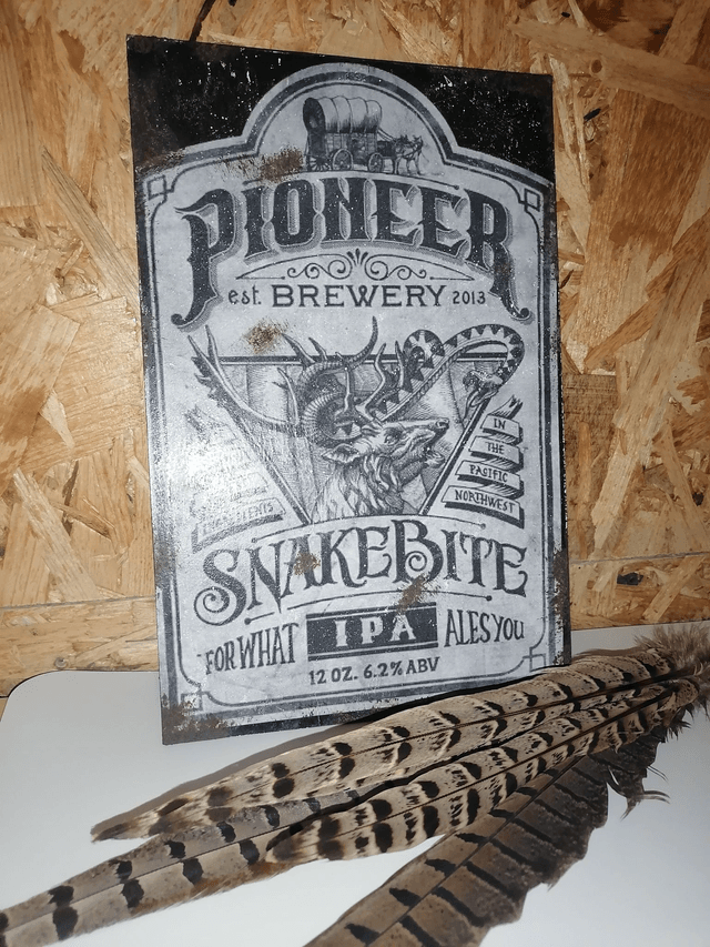 Plaque Pioneer