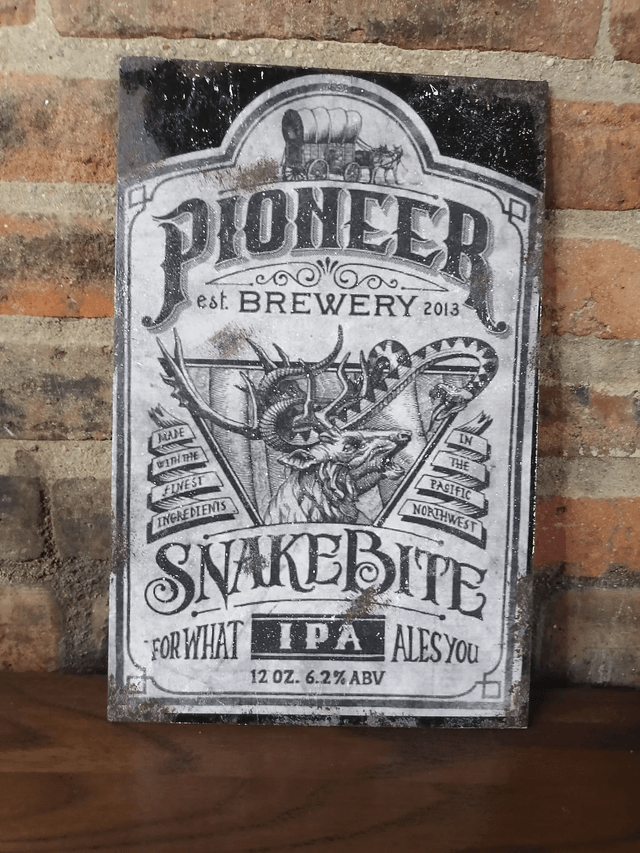 Plaque Pioneer