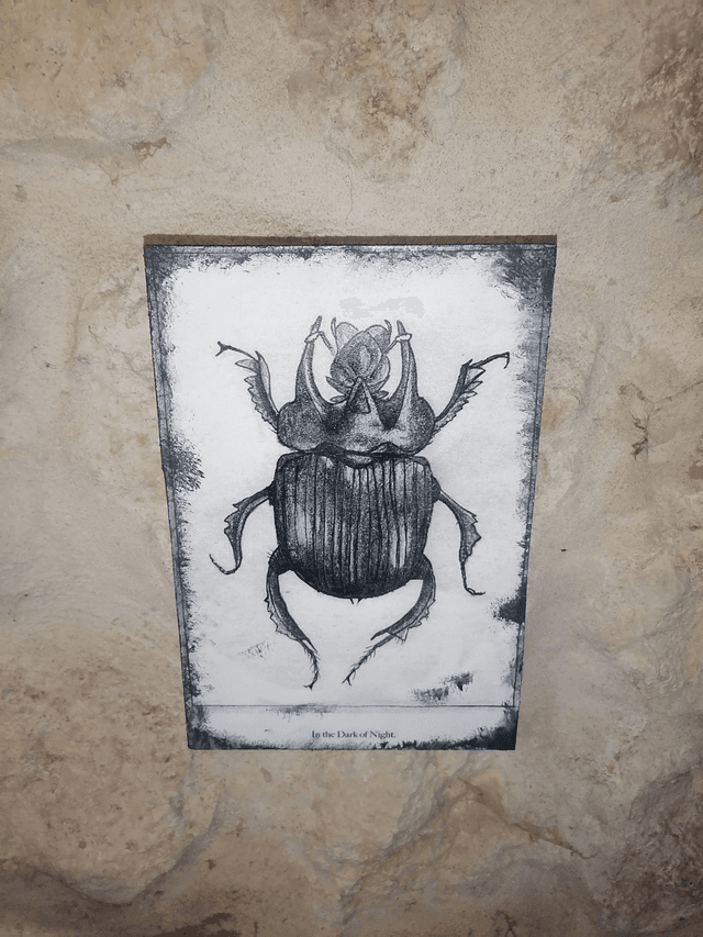 Plaque insecte